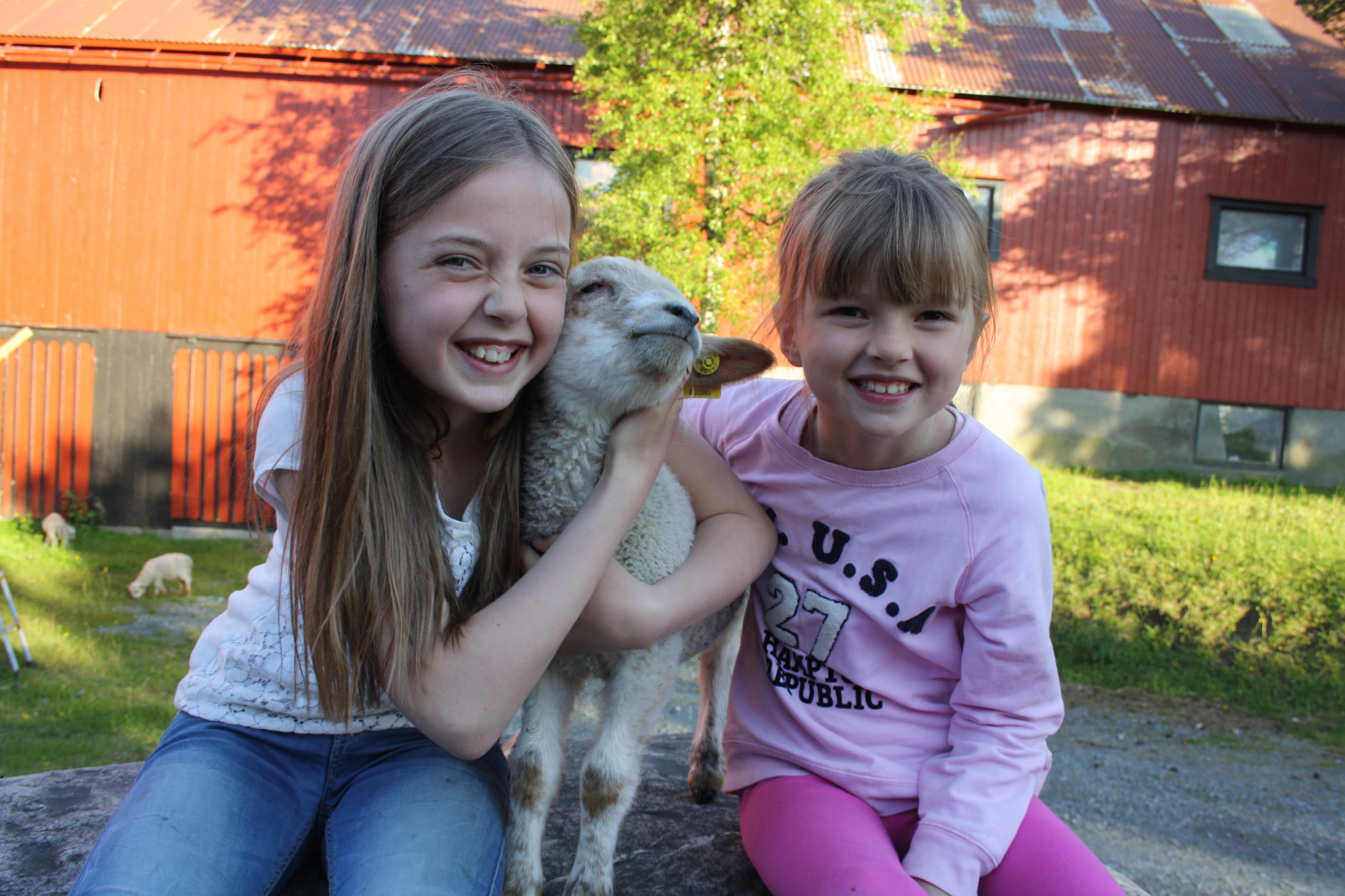 BARNA DELTAR: Ann Kristin (10) og Runa (8 1/2) har fått oppgaven med å sjekke når sauene på gården er "lamkleine".
